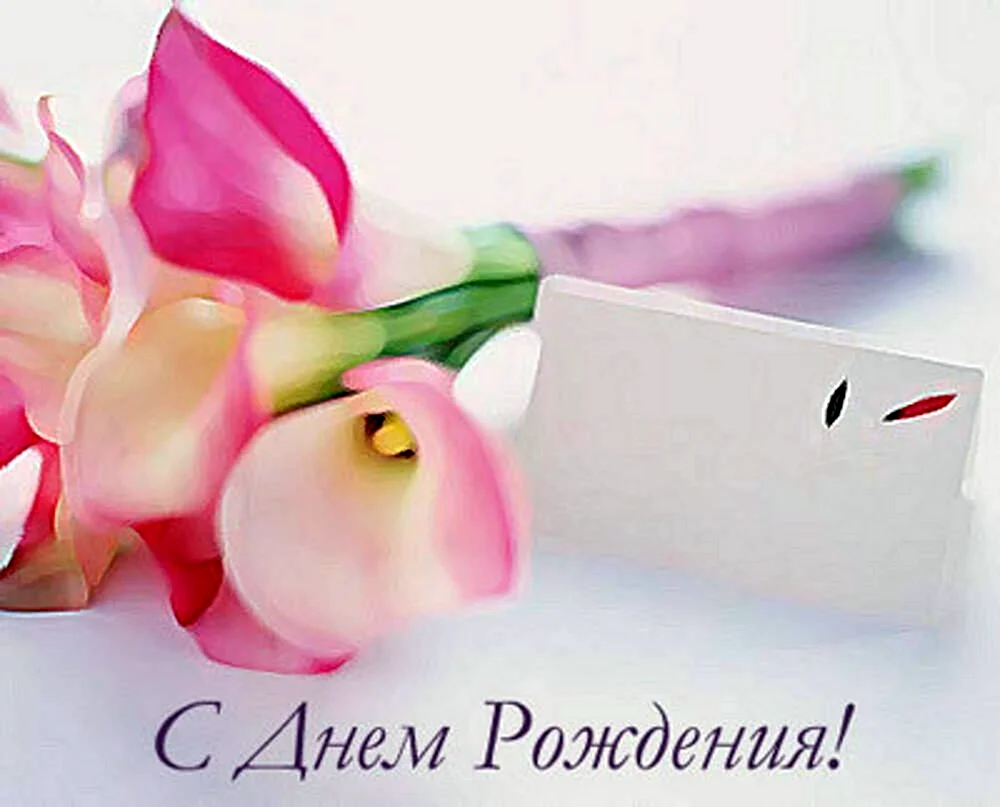 С днём рождения Даша поздравления