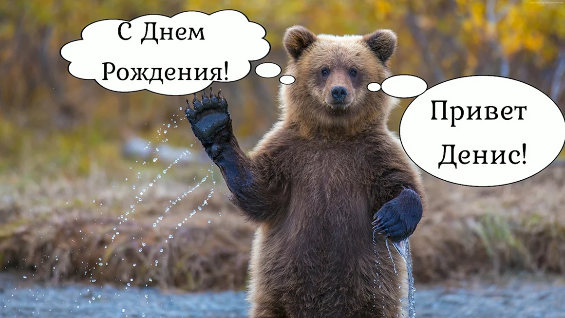 С днём рождения Денис