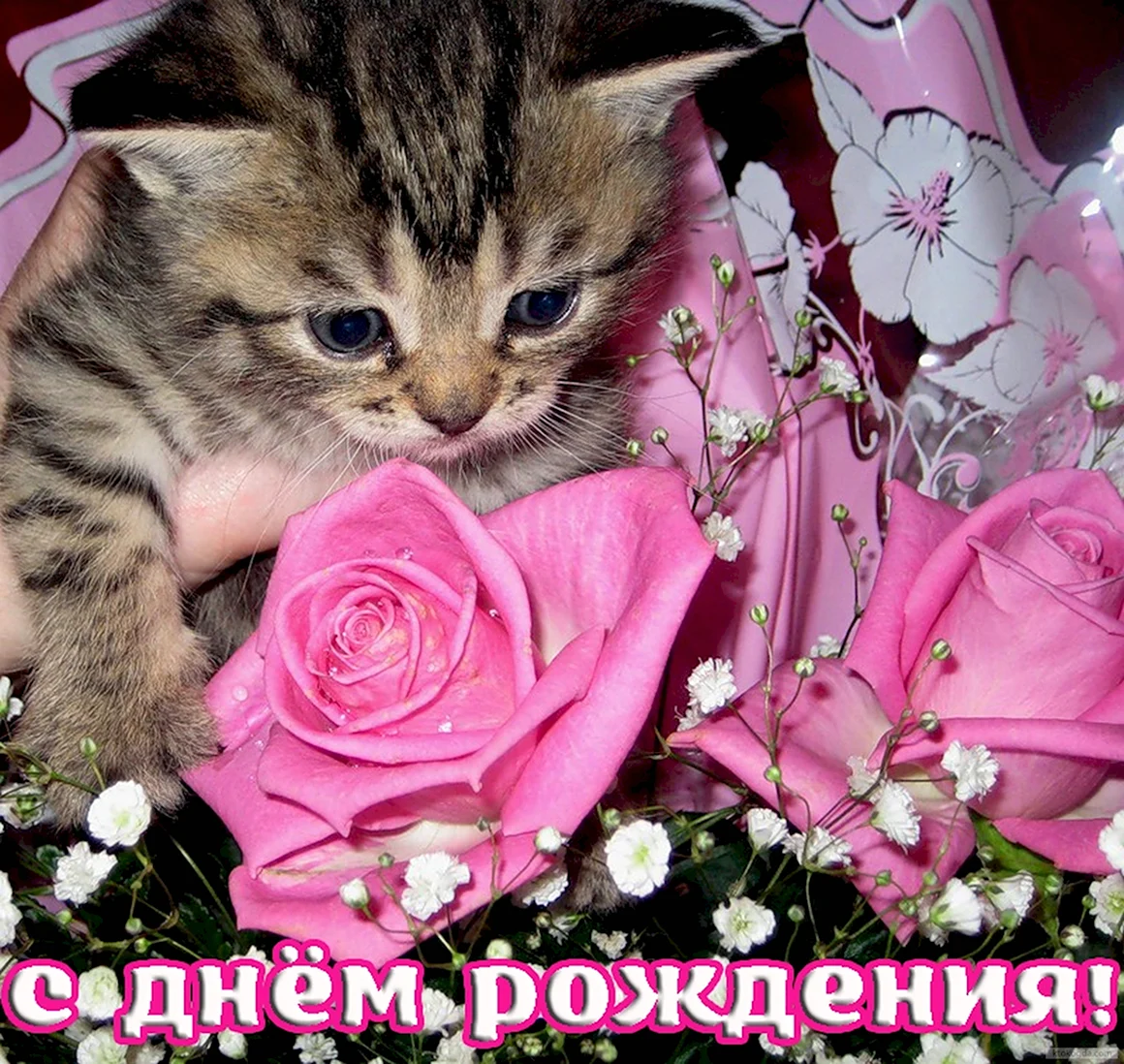 С днём рождения девушке