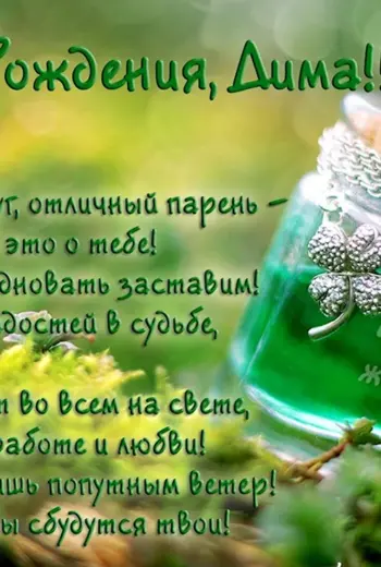 С днём рождения Дима