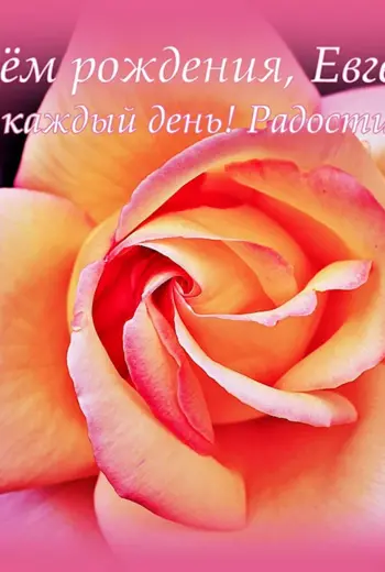 С днём рождения Евгения