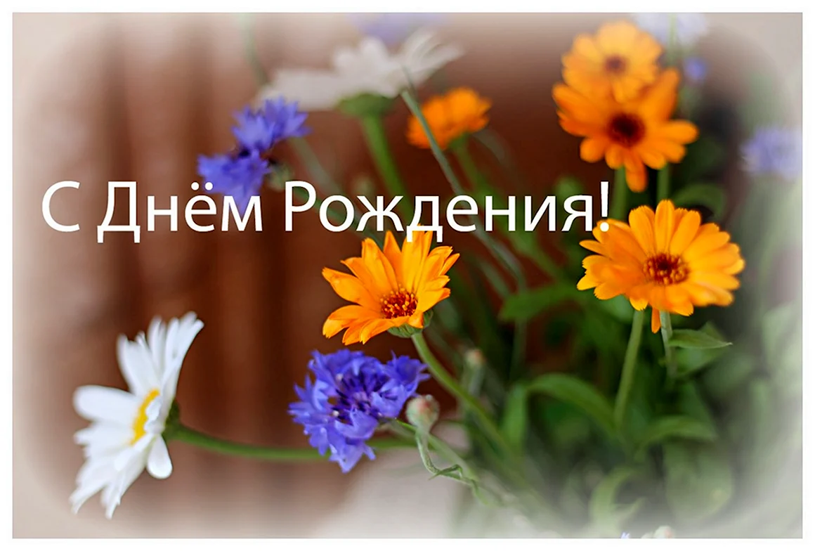 С днём рождения Галина открытки