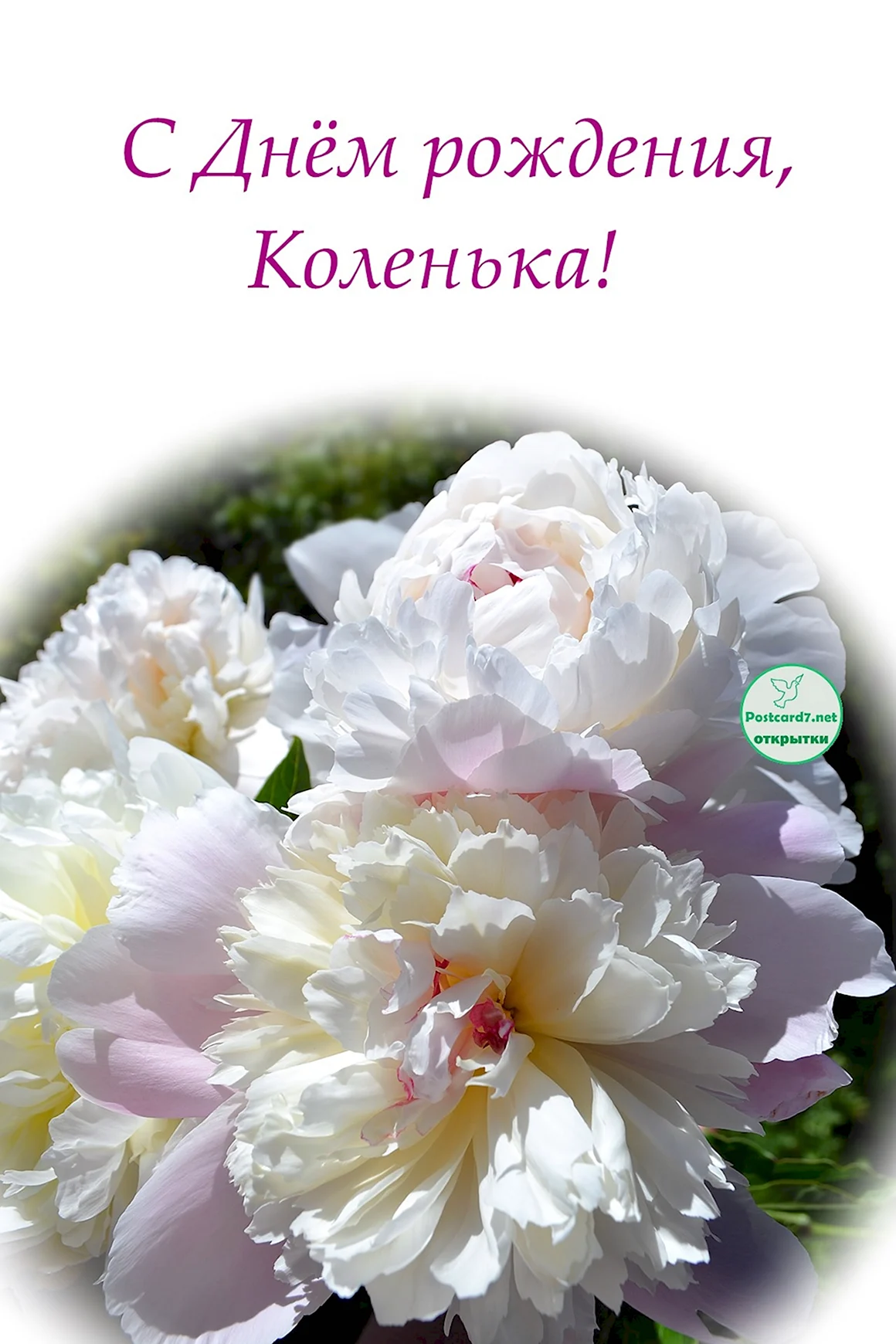 С днем рождения Колянька