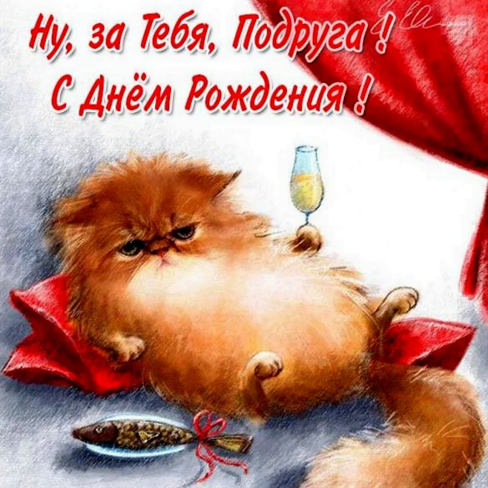 С днем рождения кот