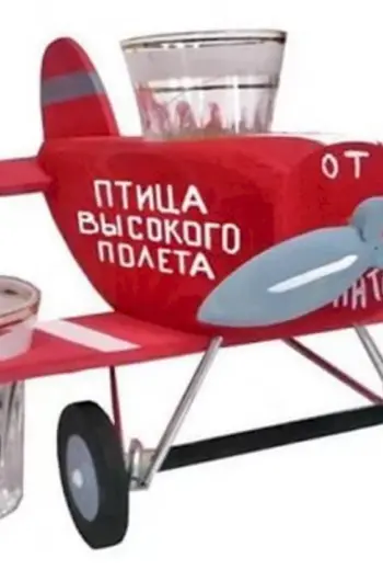 С днём рождения летчику