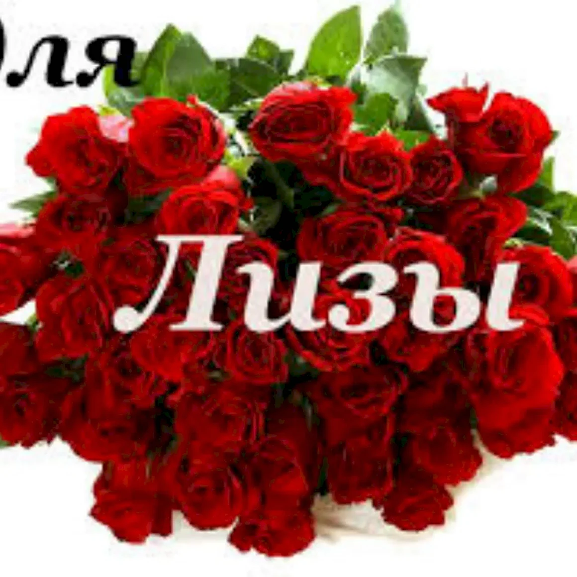 С днём рождения Лиза