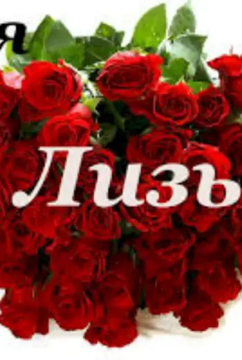С днём рождения Лиза