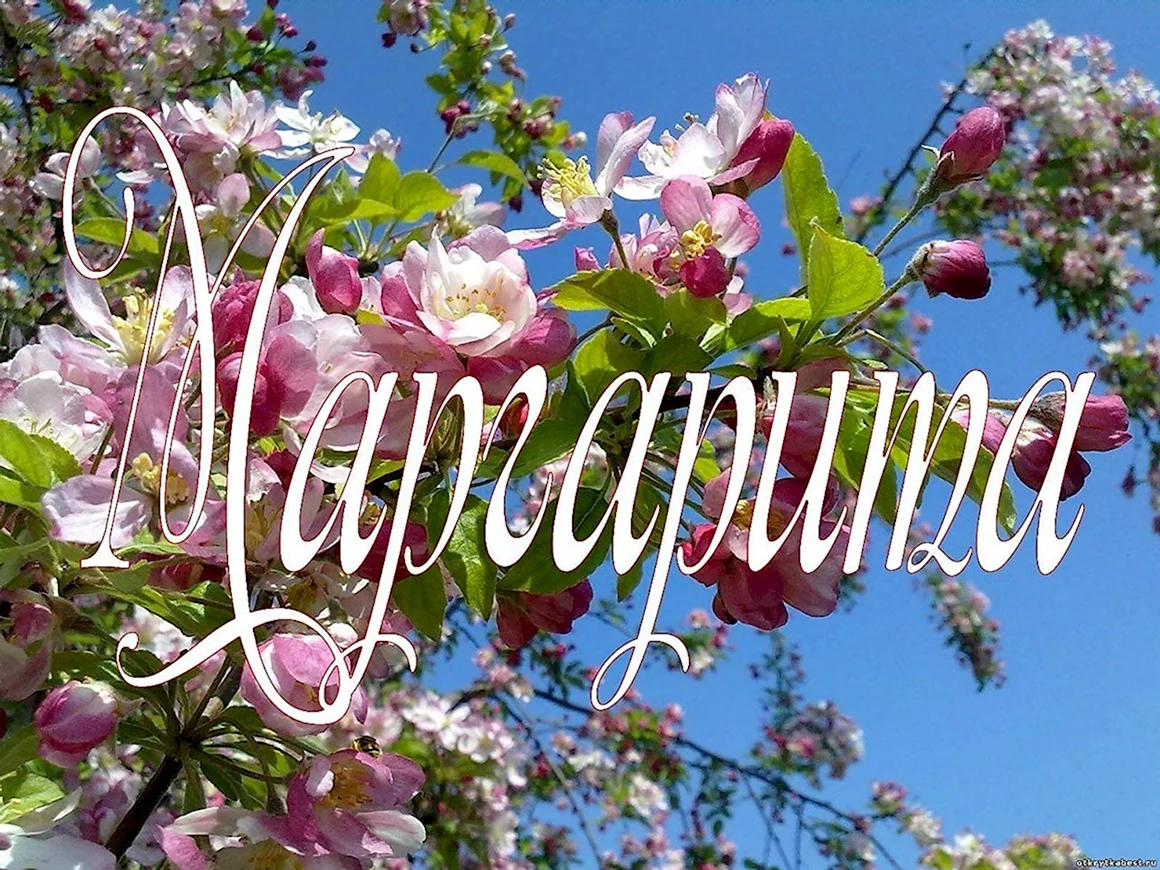 С днём рождения Маргарита
