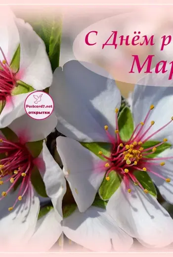 С днём рождения Мария