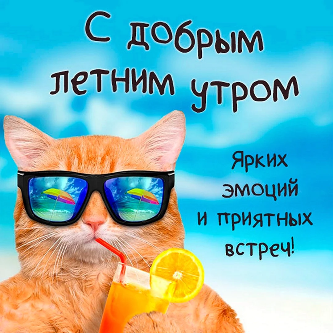 С днём рождения мужчине с рыжим котом