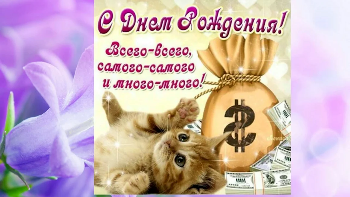 С днём рождения мужчине Женя с кошкой