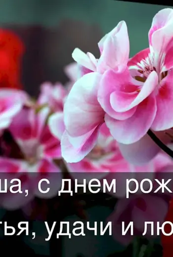 С днём рождения нанаша
