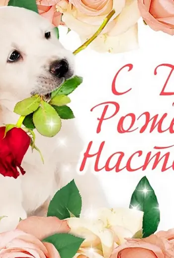 С днём рождения Настя