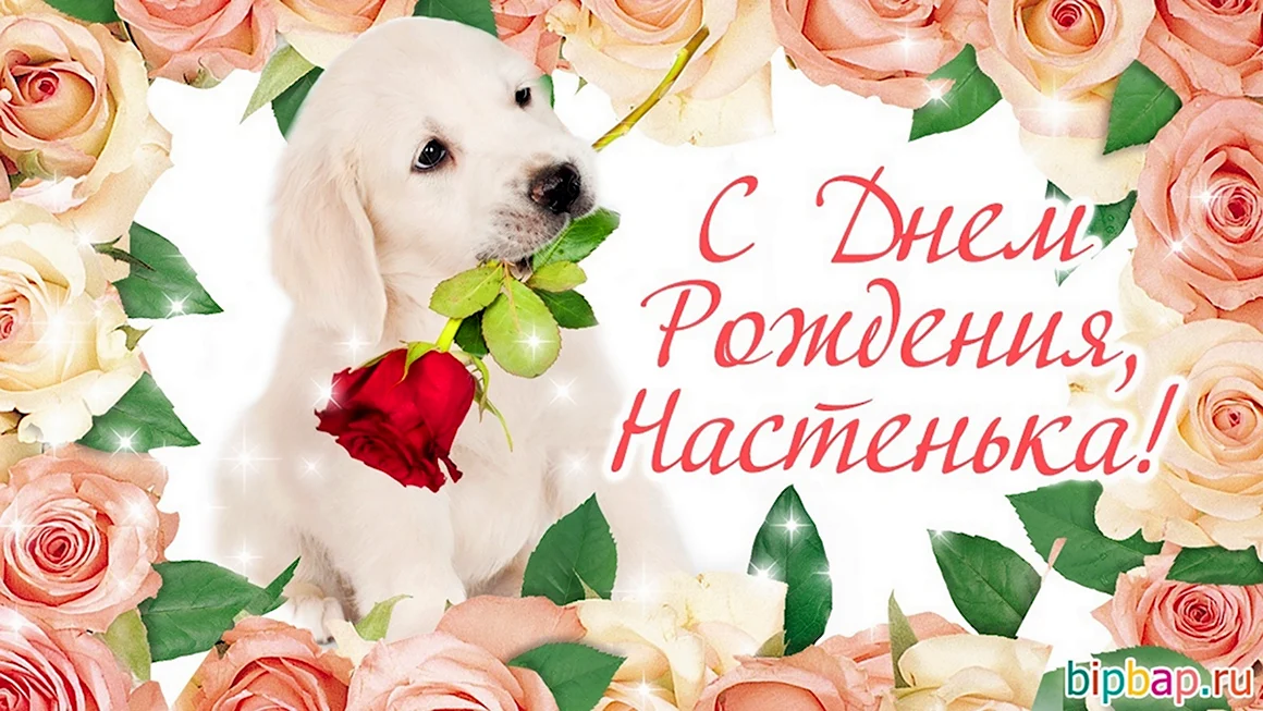 С днём рождения Настя
