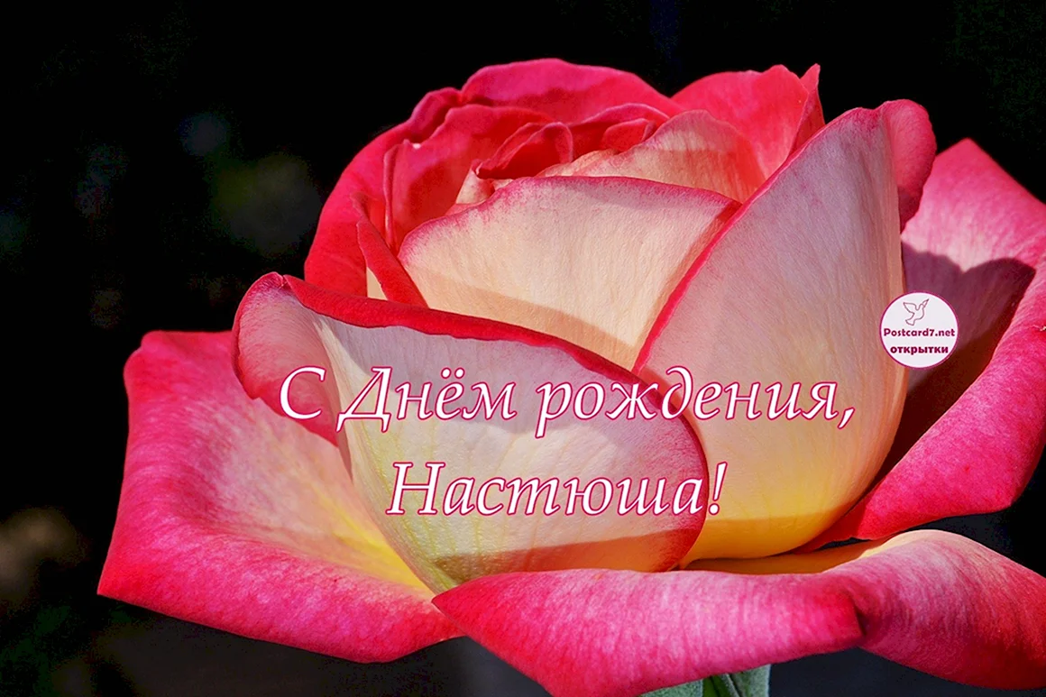С днём рождения Настюша