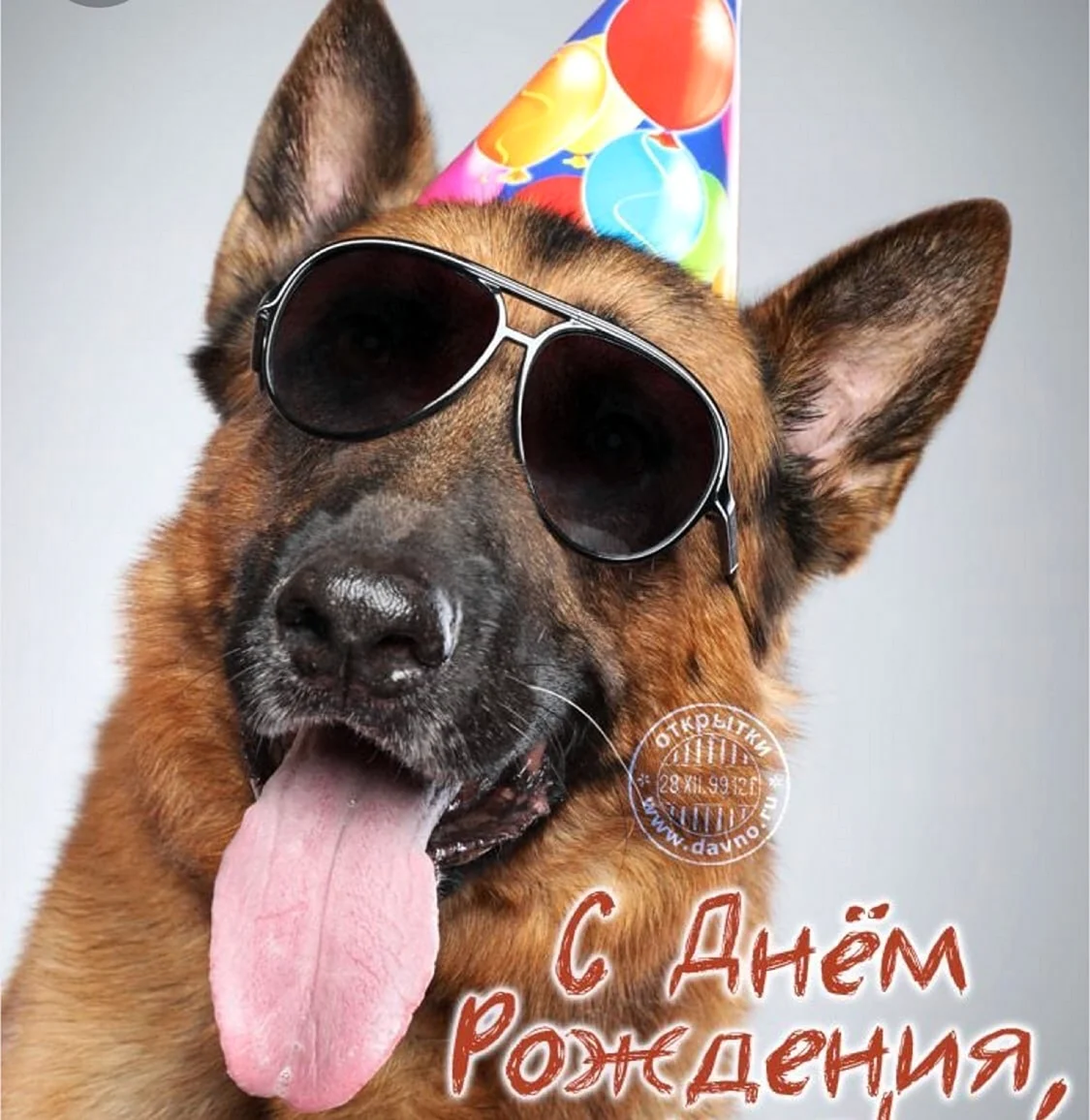 С днем рождения овчарка