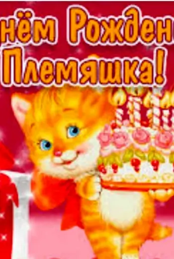 С днём рождения племяшка