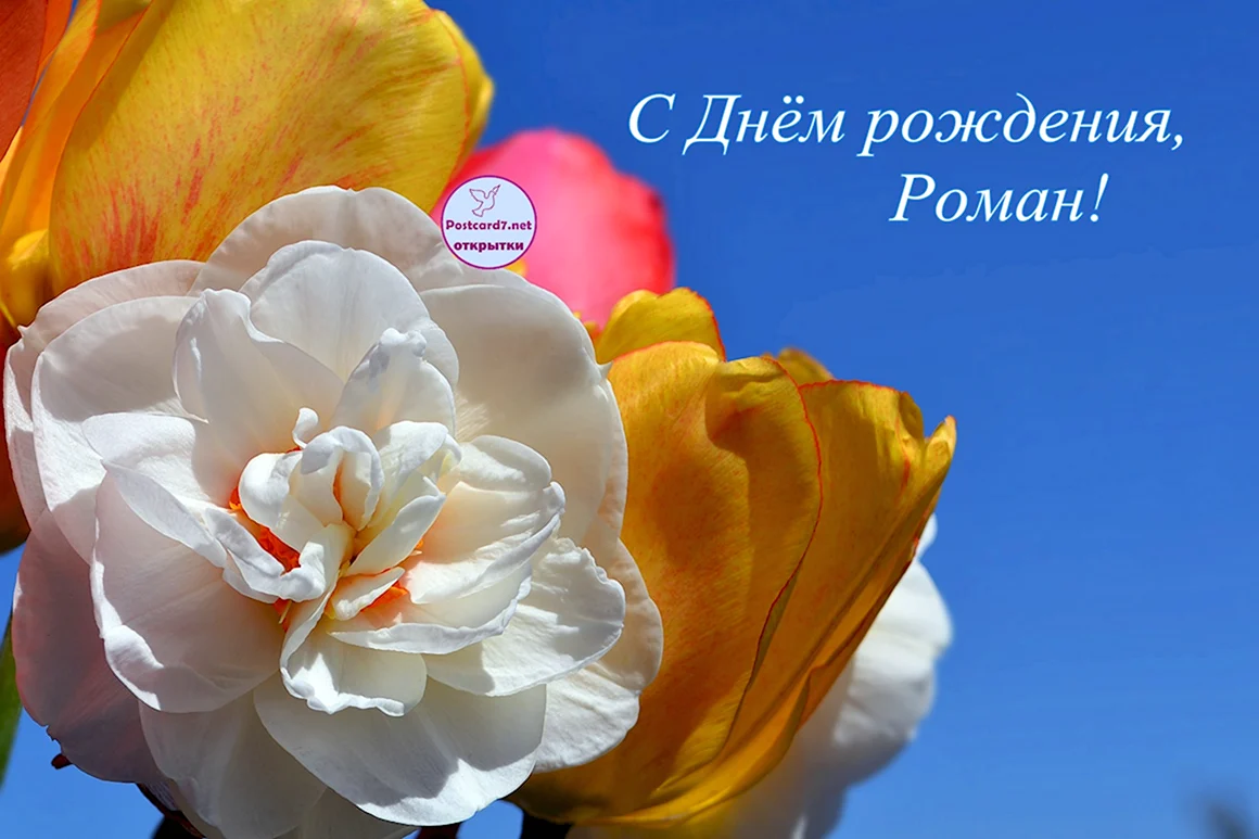 С днём рождения Роман