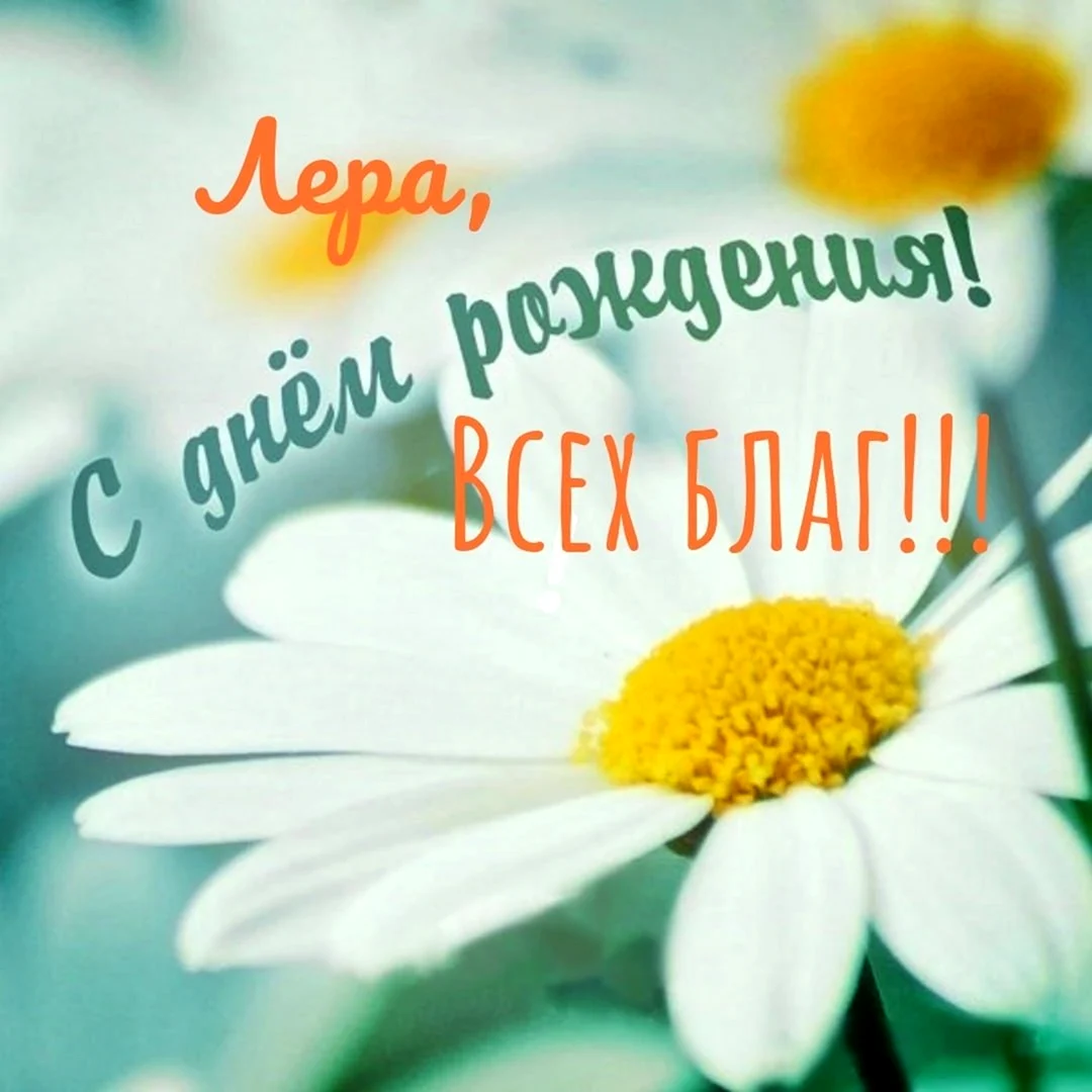 С днём рождения ромашки