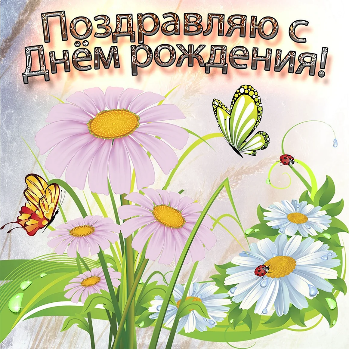 С днём рождения ромашки