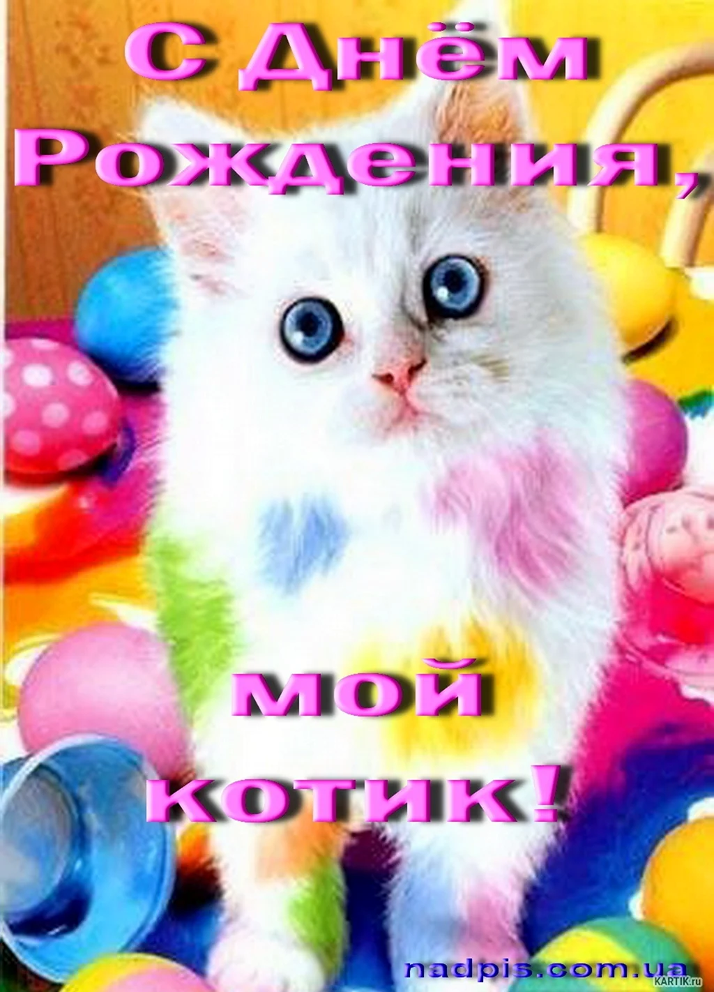 С днём рождения с котиками