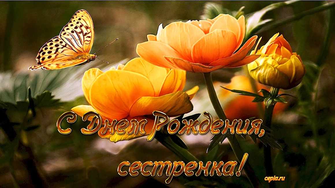 С днём рождения сестра Олеся
