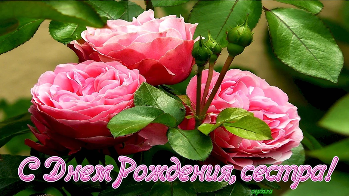С днём рождения сестрёнка Тамара