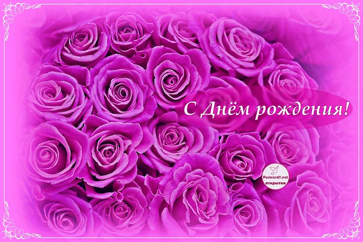 С днем рождения сиреневые розы