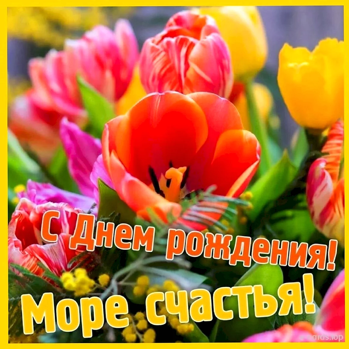 С днём рождения Татьяна Сергеевна