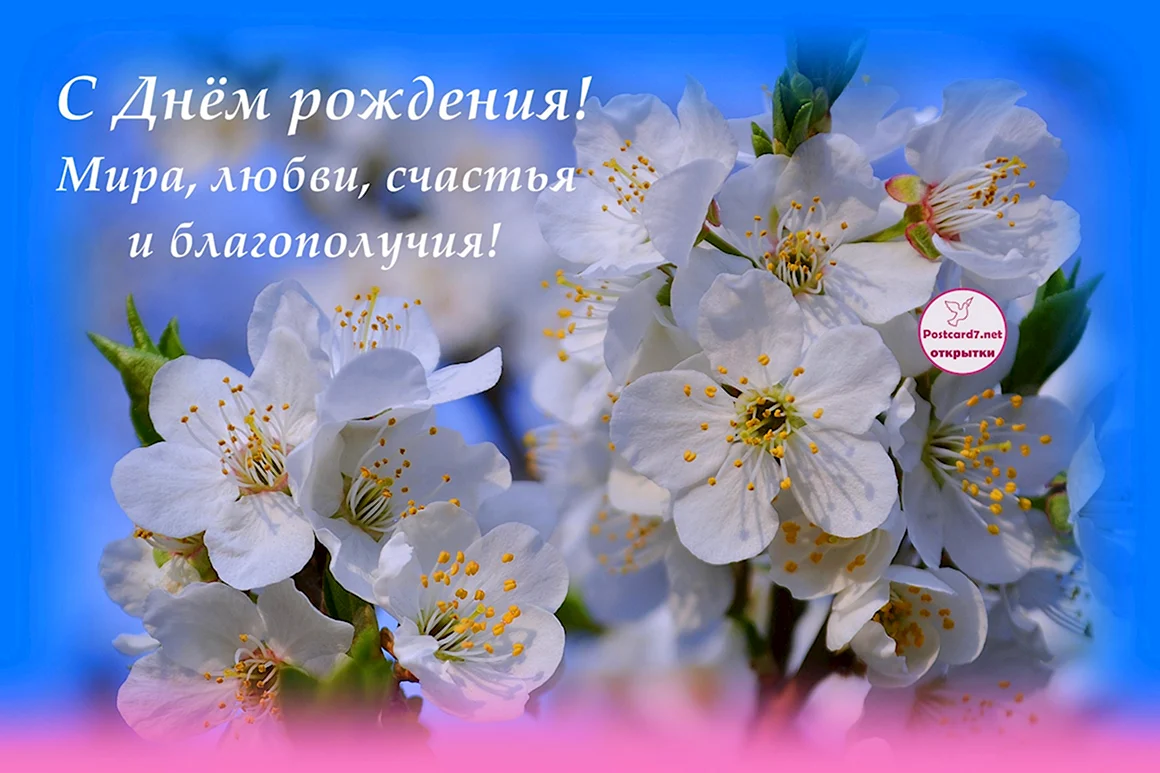 С днём рождения Цветущий сад