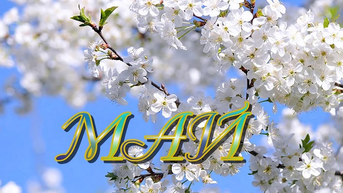 С днем рождения в мае