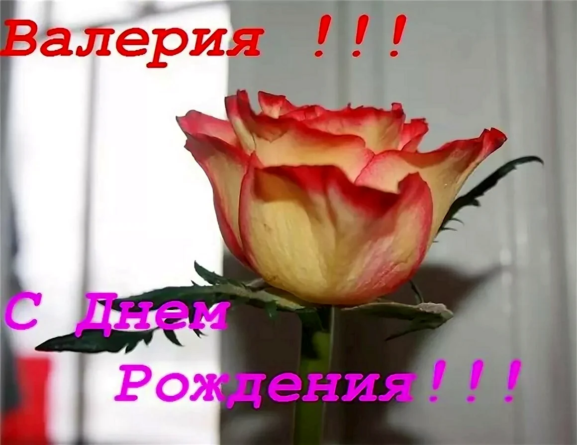С днём рождения Валерия