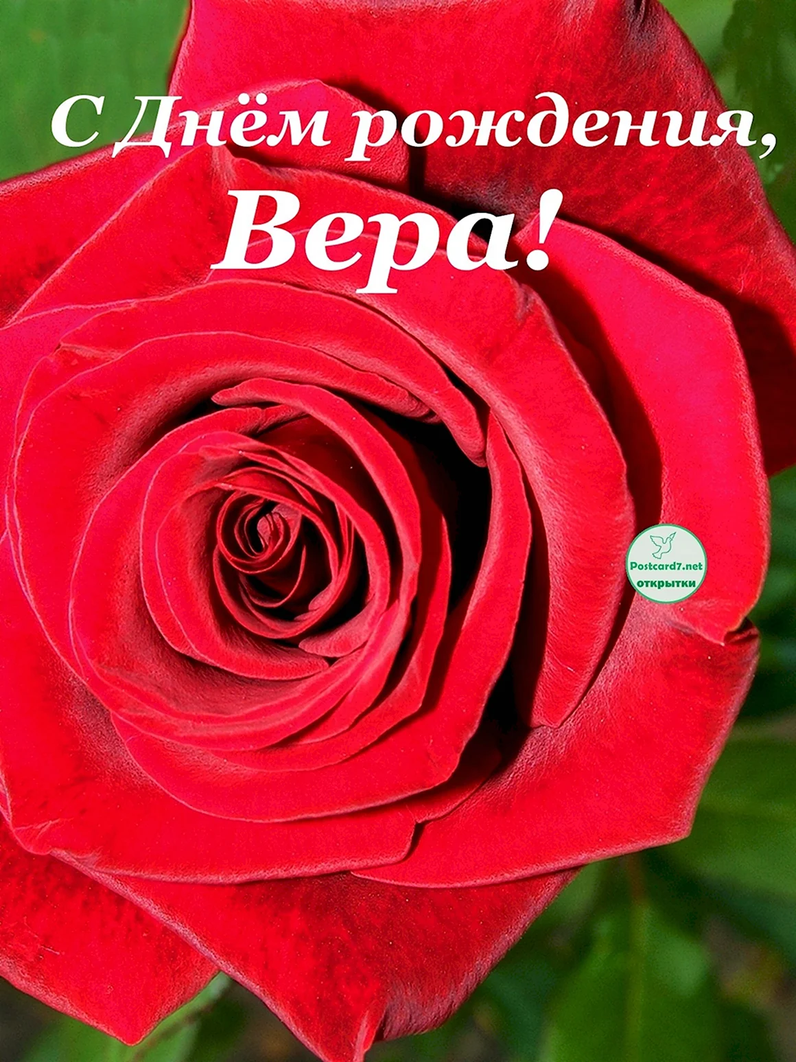 С днём рождения Вера