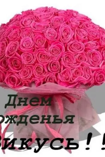 С днём рождения Вика