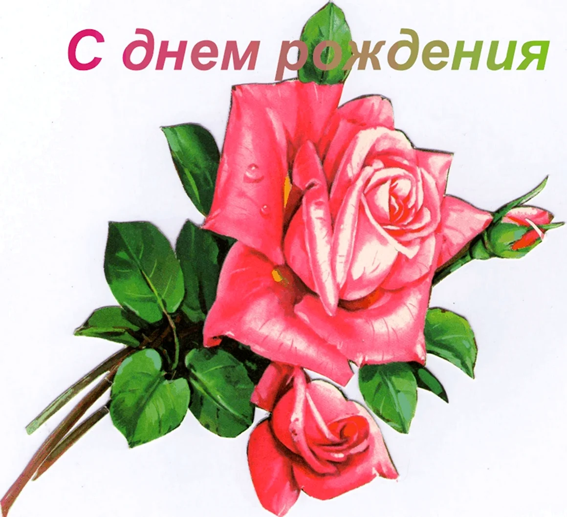 С днём РОЖДЕНИЯАЛЬБИНА
