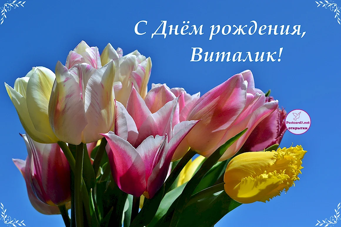 С днем рождениявителик