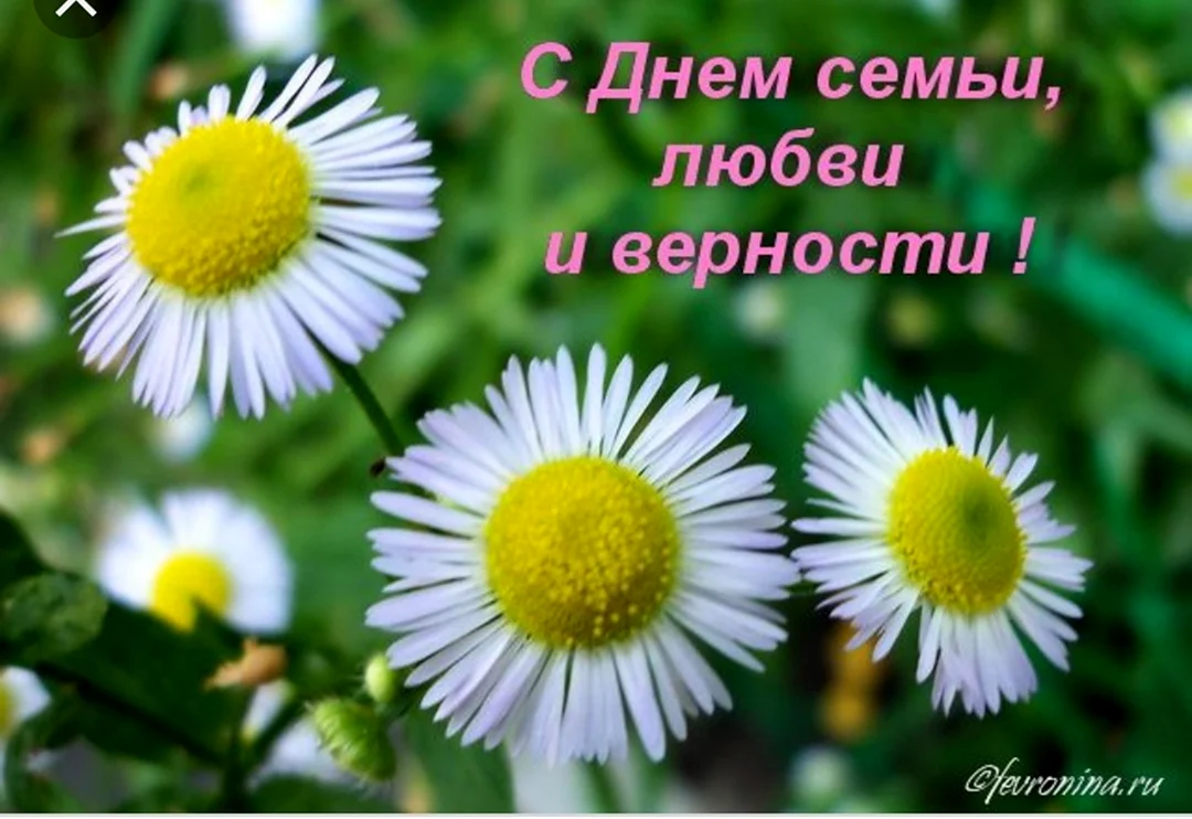 С днём семьи поздравления прикольные