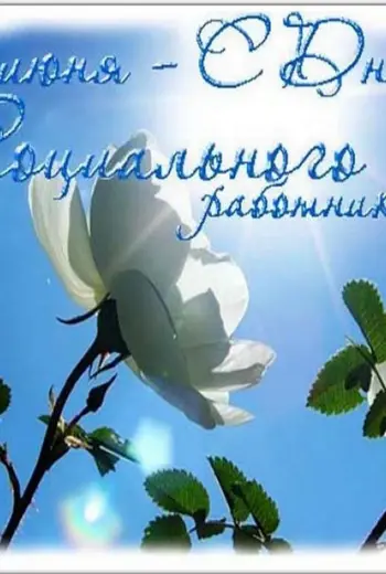 С днем социального работника открытки