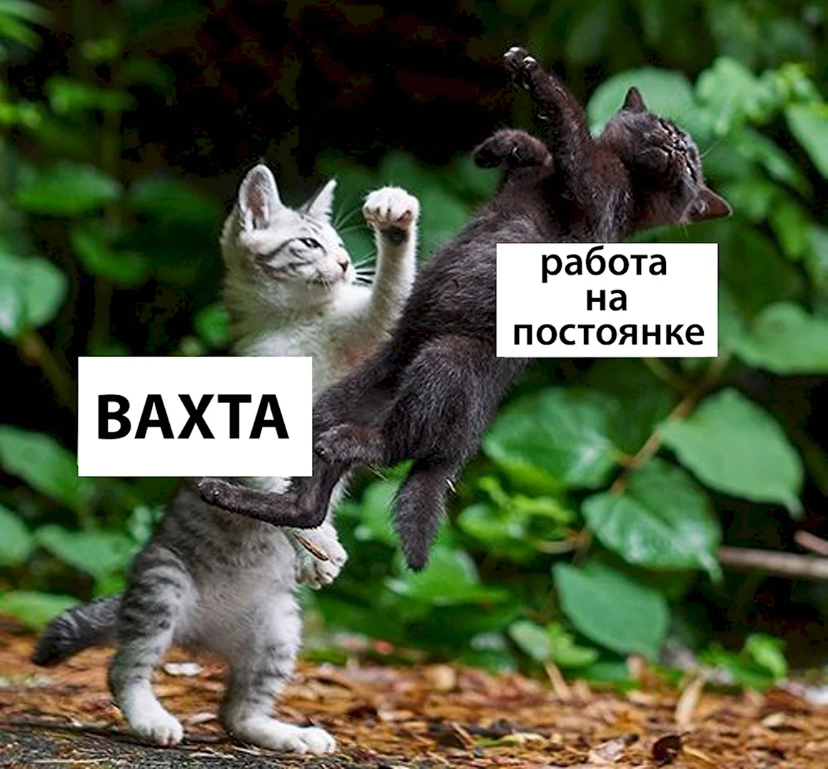 С днем вахты