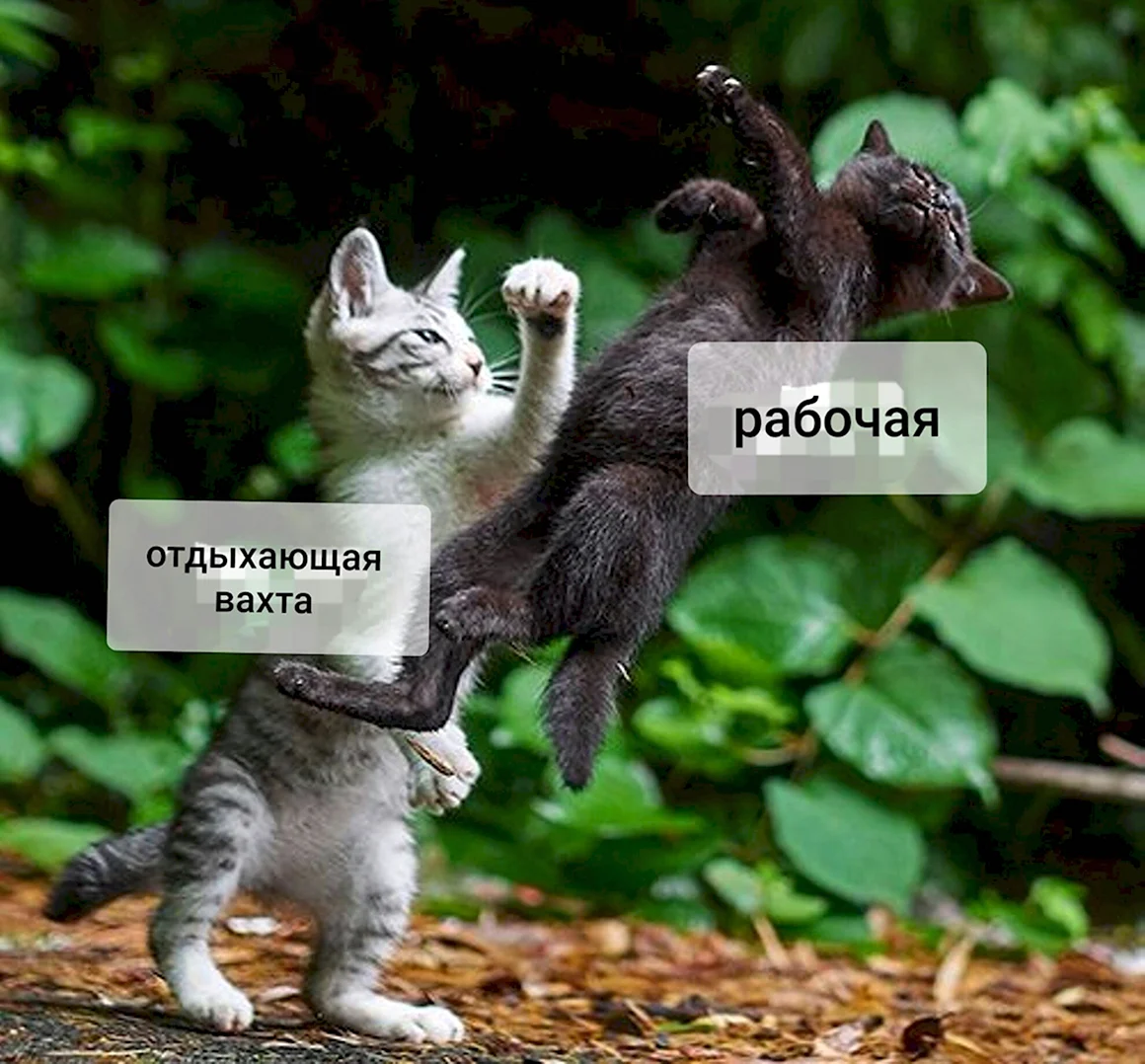 С днем вахты