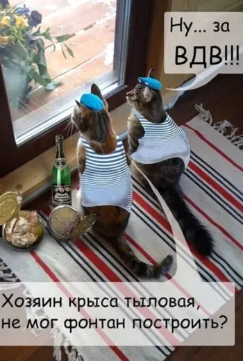 С днем ВДВ