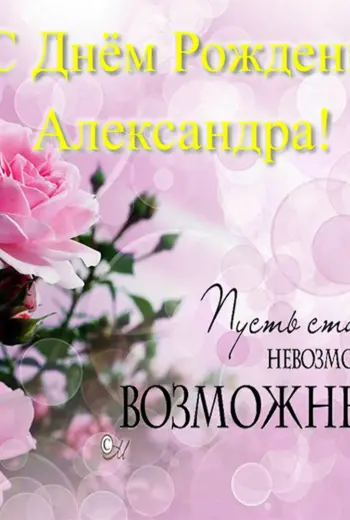 С ДНЁМРОЖДЕНИЯАЛЕКСАНДРА