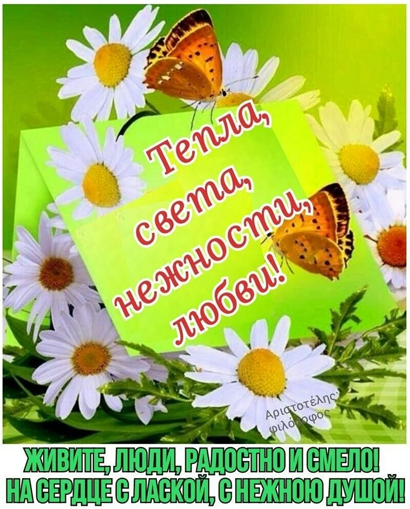С добрым летним утром