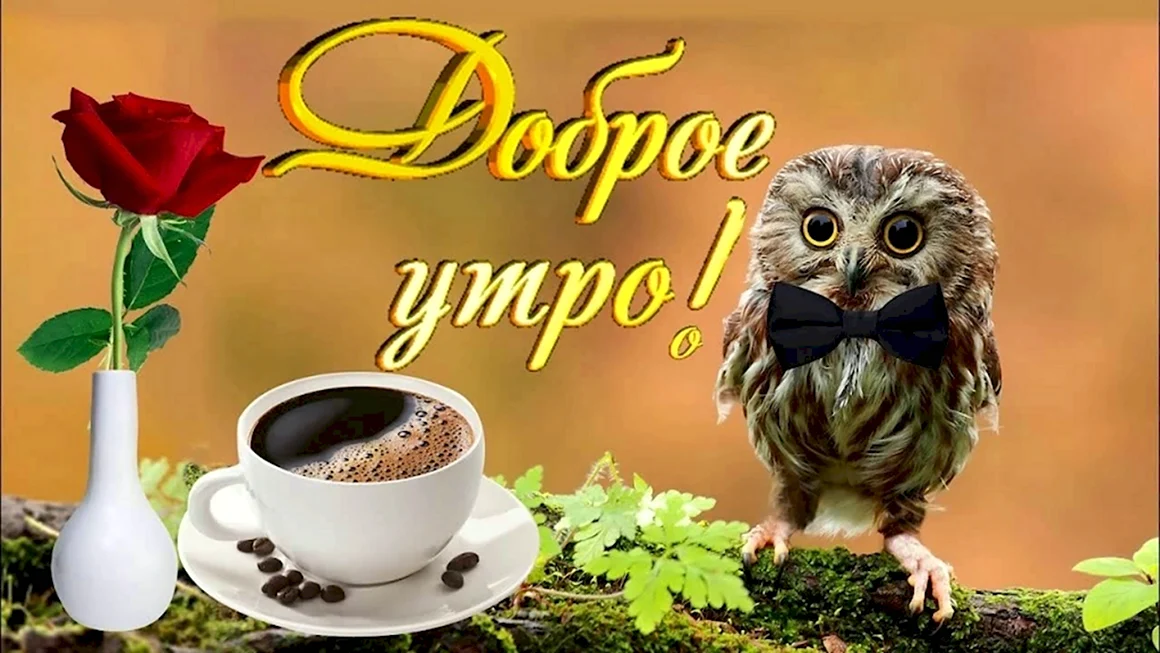 С добрым утром