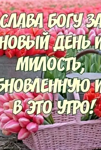 С добрым утром Божьего благословения