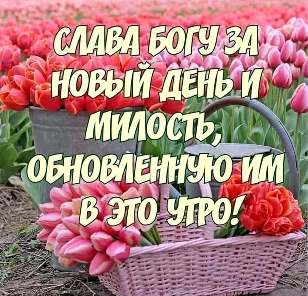 С добрым утром Божьего благословения