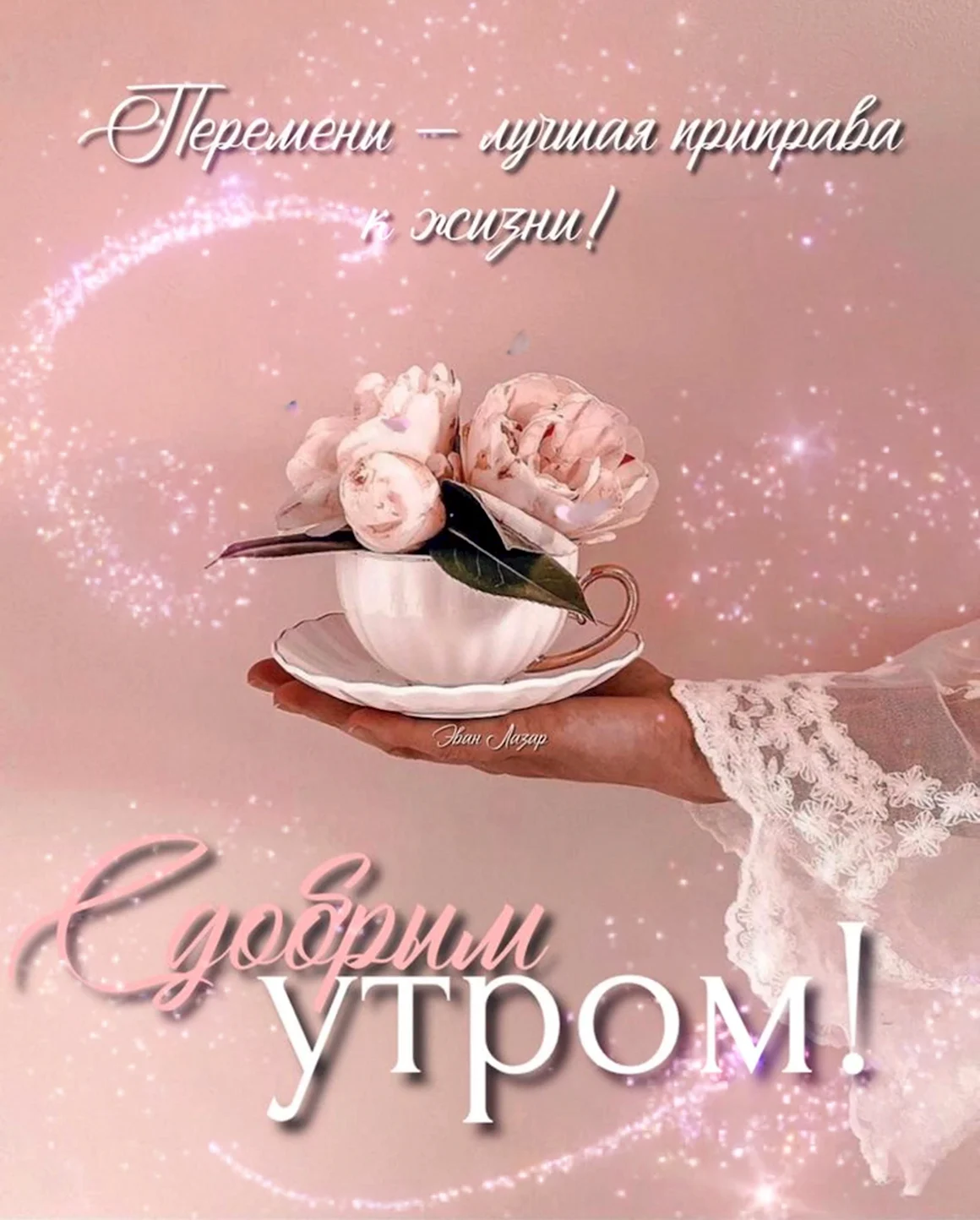 С добрым утром картинки нежные женщине