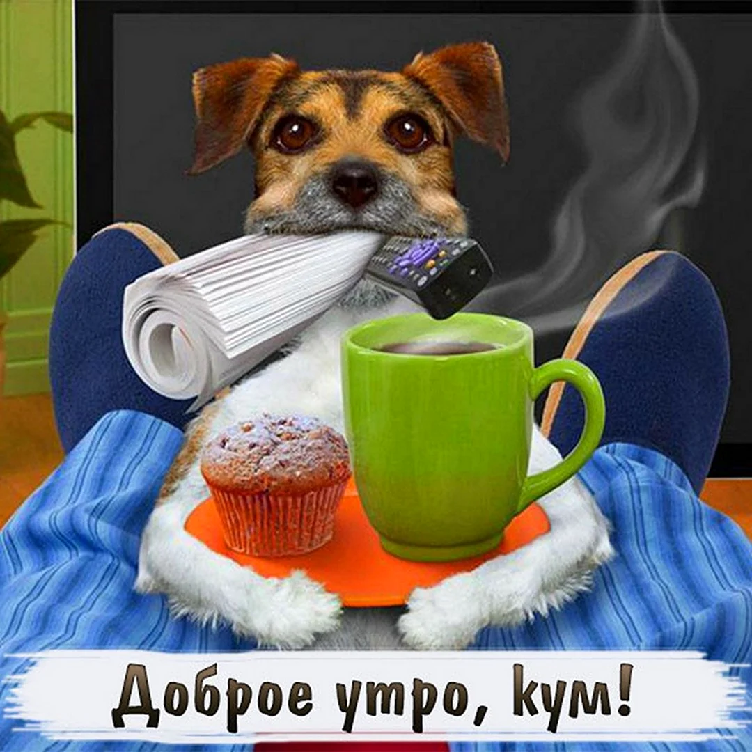 С добрым утром Кум