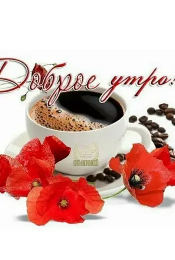 С добрым утром маки