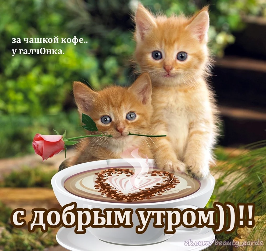 С добрым утром мама